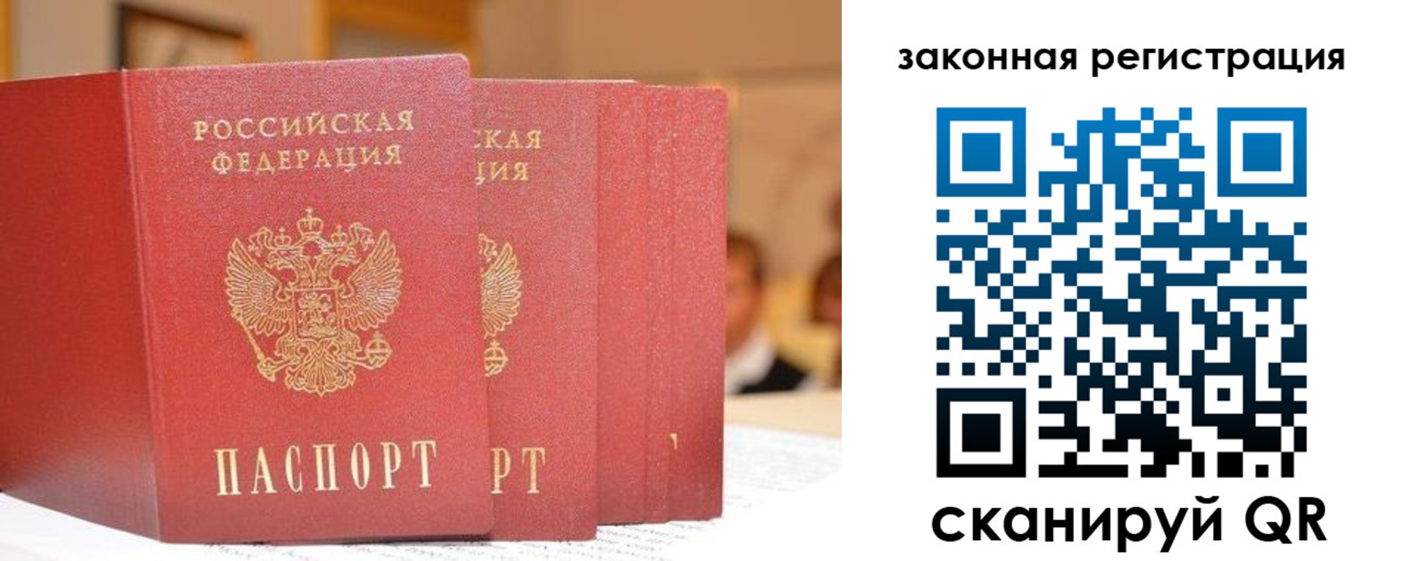 прописка поиск в Железногорске